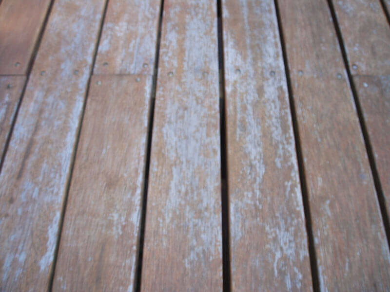 real-seal-timber-Sanding